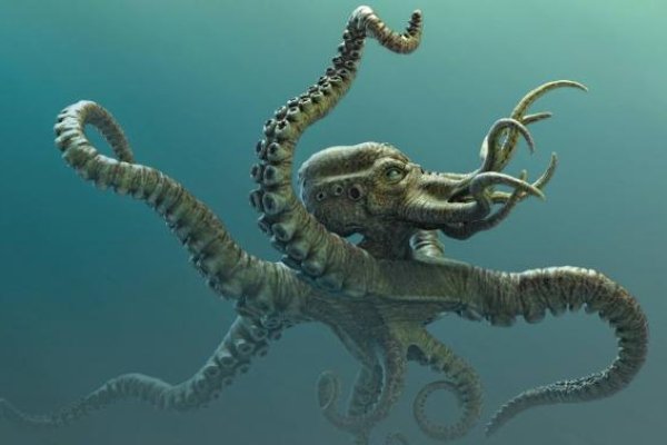 Kraken даркнет рынок