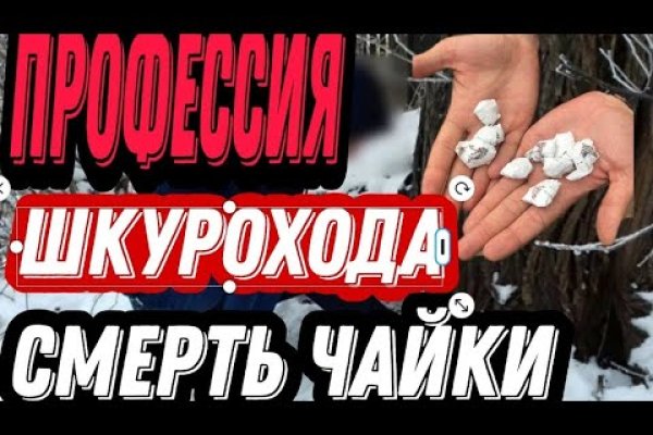 Кракен шеринг