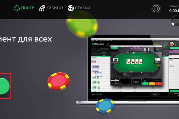 Kraken актуальные зеркала krakentor site