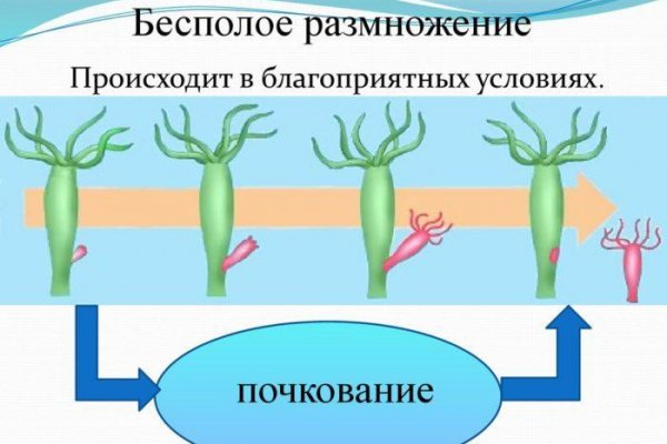 Можно ли зайти на кракен через обычный браузер