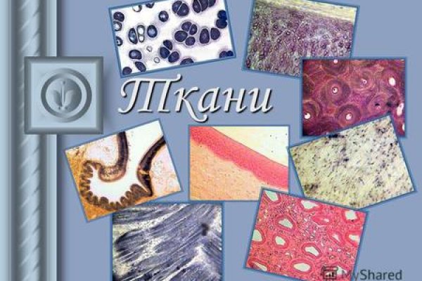 Кракен правила площадки