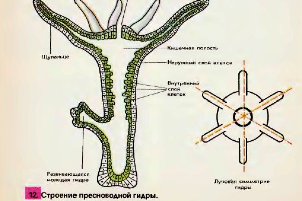 Что такое кракен только через тор